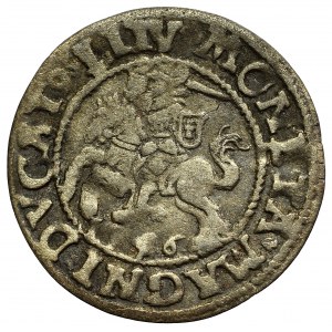 Sigismund II Augustus, Halfgroat 1546, Vilnius