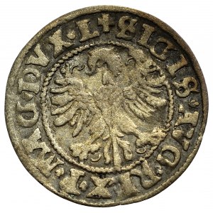 Sigismund II Augustus, Halfgroat 1546, Vilnius