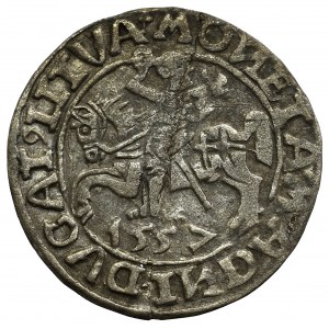 Sigismund II August, Half-groat 1557, Vilnius - LI/LITVA