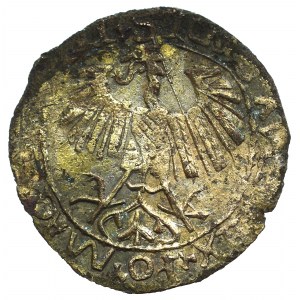 Zygmunt II August, Fałszerstwo z epoki półgrosza