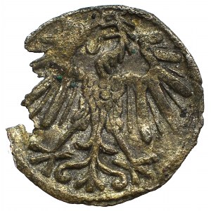 Sigismund II Augustus, 1-denar 1557, Vilnius - NGC MS63