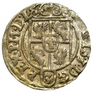 Sigismund III, 1,5 groschen 1624, Bromberg