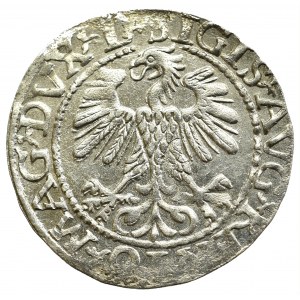 Sigismund II Augustus, Halfgroat 1560, Vilnius - LI/LITVA