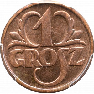 II Republic of Poland, 1 groschen 1939 - PCGS MS64 RB