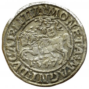 Sigismund II Augustus, Halfgroat 1547, Vilnius