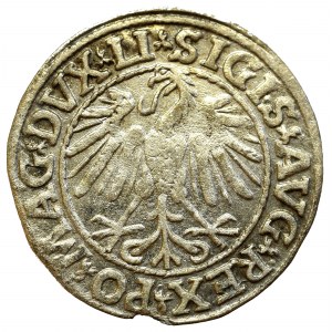 Sigismund II Augustus, Halfgroat 1547, Vilnius