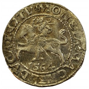 Sigismund II Augustus, Halfgroat 1564, Vilnius - L/LITV