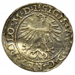 Sigismund II Augustus, Halfgroat 1564, Vilnius - L/LITV