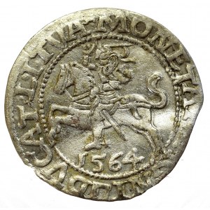 Sigismund II Augustus, Half-groat 1564, Vilnius, L/LITVA