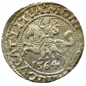 Sigismund II Augustus, Half-groat 1564, Vilnius, L/LITVA