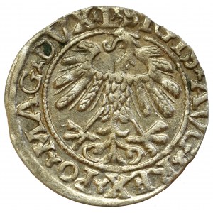 Zygmunt II August, Półgrosz 1558 Wilno - L/LITVA
