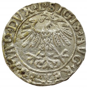 Sigismund II Augustus, Halfgroat 1558, Vilnius