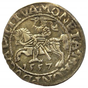 Sigismund II August, Half-groat 1557, Vilnius - LI/LITVA