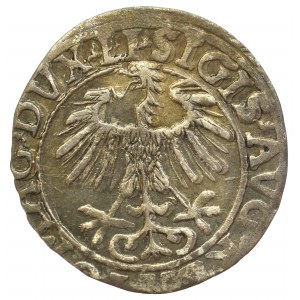 Sigismund II August, Half-groat 1557, Vilnius - LI/LITVA