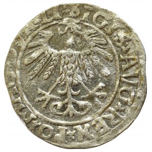 Zygmunt II August, Półgrosz 1558, Wilno - LI/LITV