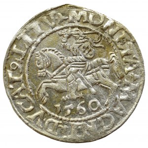 Sigismund II Augustus, Halfgroat 1560, Vilnius - LI/LITVA