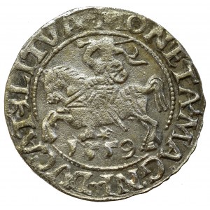 Sigismund II Augustus, Halfgroat 1559, Vilnius