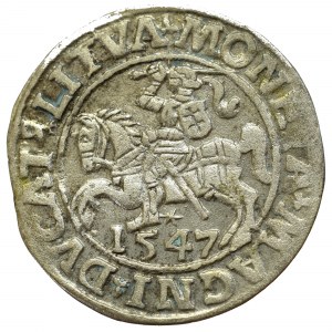 Sigismund II Augustus, Halfgroat 1547, Vilnius