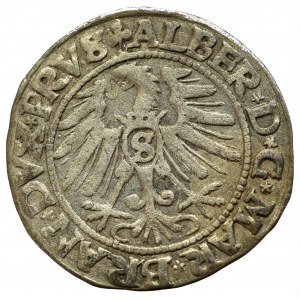 Prusy Książęce, Albreht Hohenzollern, Grosz 1546, Królewiec