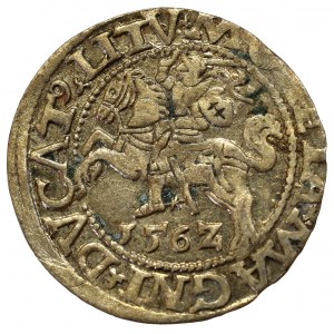 Sigismund II Augustus, Halfgroat 1562, Vilnius