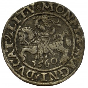 Sigismund II Augustus, Halfgroat 1560, Vilnius - LI/LITVA