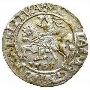 Sigismund II Augustus, Halfgroat 1565, Vilnius