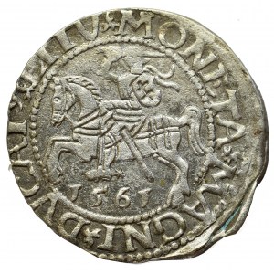 Sigismund II Augustus, Halfgroat 1565, Vilnius - L/LITV