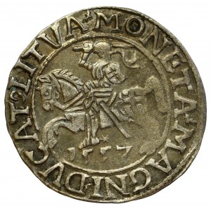 Sigismund II Augustus, Halfgroat 1557, Vilnius