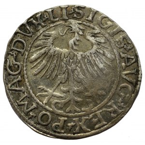 Sigismund II Augustus, Halfgroat 1557, Vilnius