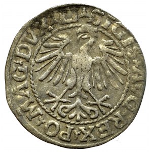 Sigismund II Augustus, Halfgroat 1548, Vilnius