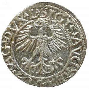 Sigismund II Augustus, Halfgroat 1565, Vilnius - L/LITV