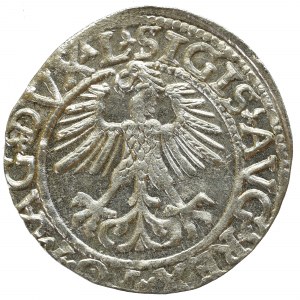 Zygmunt II August, Półgrosz 1561, Wilno - L/LITVA