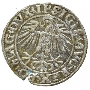 Sigismund II Augustus, Halfgroat 1549, Vilnius