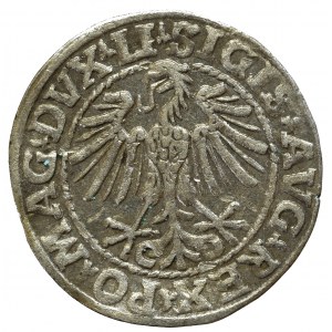 Sigismund II Augustus, Halfgroat 1548, Vilnius