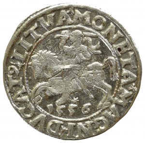Sigismund II Augustus, Halfgroat 1556, Vilnius