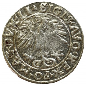 Sigismund II Augustus, Halfgroat 1556, Vilnius