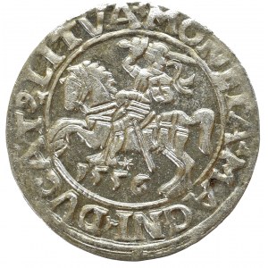 Sigismund II Augustus, Halfgroat 1556, Vilnius