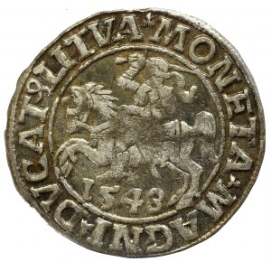 Sigismund II Augustus, Halfgroat 1548, Vilnius