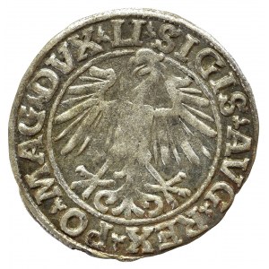 Sigismund II Augustus, Halfgroat 1548, Vilnius