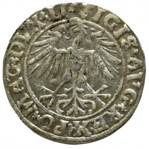 Sigismund II Augustus, Halfgroat 1550, Vilnius