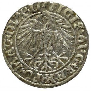 Zygmunt II August, Półgrosz 1550, Wilno - LI/LITVA