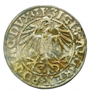 Sigismund II Augustus, Halfgroat 1550, Vilnius