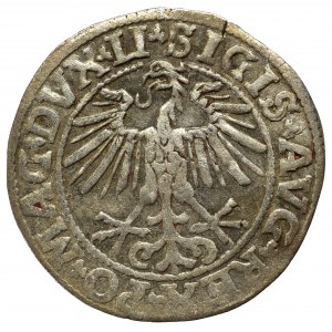 Sigismund II Augustus, Halfgroat 1550, Vilnius