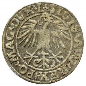 Zygmunt II August, Półgrosz 1549, Wilno - L/LITVA