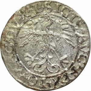 Sigismund II Augustus, Halfgroat 1562, Vilnius