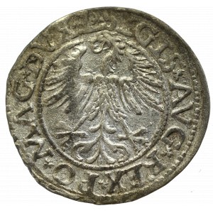 Sigismund II Augustus, Halfgroat 1563, Vilnius - L/LITV