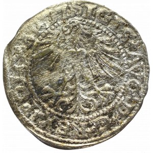 Sigismund II Augustus, Halfgroat 1563, Vilnius - L/LITV