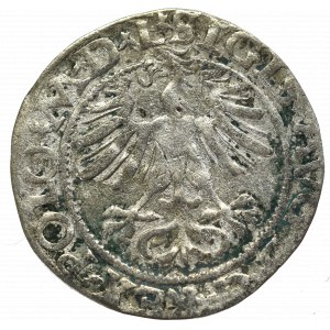Sigismund II Augustus, Halfgroat 1565, Vilnius