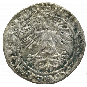 Zygmunt II August, Półgrosz 1565, Wilno - rzadki L/LIT