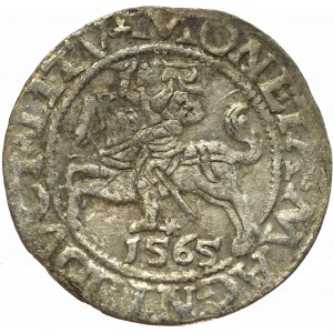 Sigismund II Augustus, Halfgroat 1565, Vilnius - L/LITV